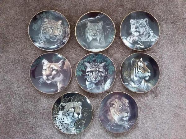 Image 1 of HAMILTON COLLECTION NATURES MAJESTIC CATS PORCELAIN PLATES
