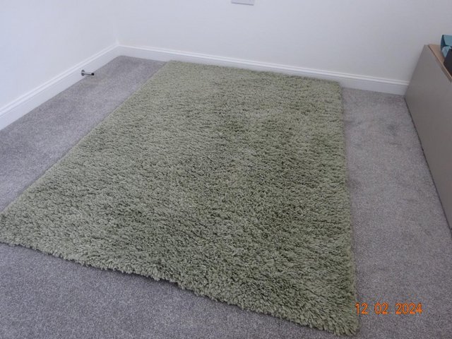 Preview of the first image of Large cosy green rug in very good condition.