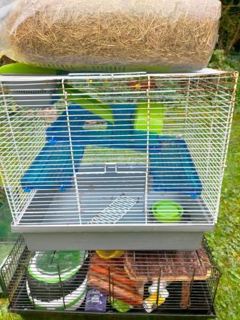 Image 13 of Various rodent cages and accessories