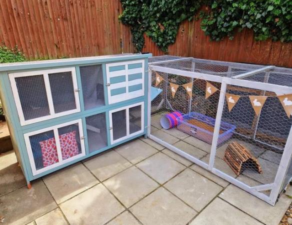 Image 3 of Home based boarding for rabbits and guinea pigs
