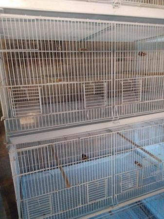 Image 2 of Bird breeding cages for smaller type birds