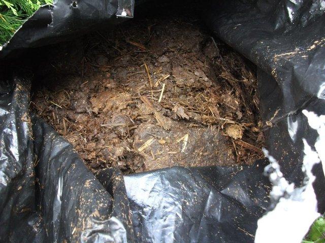 Preview of the first image of organic manure (plants love it).