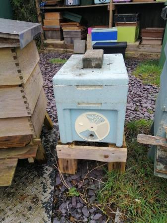 Image 2 of 6 frame - Overwintered nucleus poly hives with 14x12 frames.