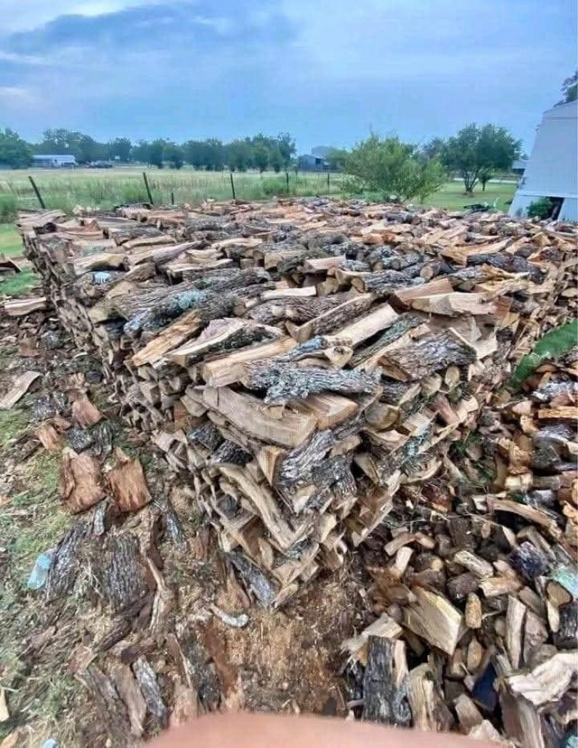 Firewoods softwoods and hardwoods