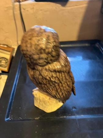 Image 3 of Royal doulton tawny owl decanter