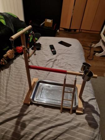 Image 5 of Bird play stand with toys, tray, bowls and ladder.