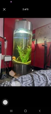 Image 2 of Fish tank with 2 fish all setup