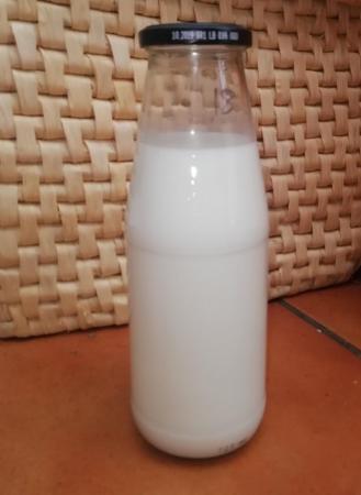 Image 1 of Opportunity to share a milking goat / fresh raw milk
