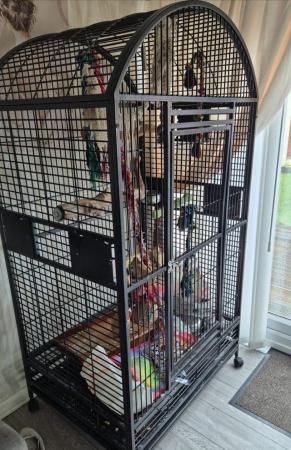 Image 2 of Parrot cage large ideal for any parrot