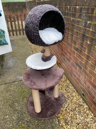 Image 4 of Cat scratching post from pets at home never used