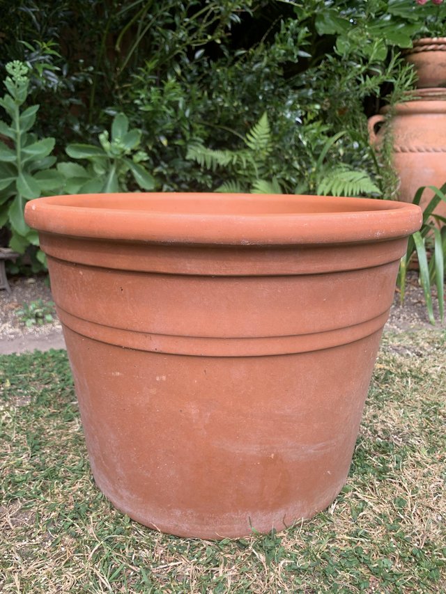 Preview of the first image of Super quality terracotta plant pot.