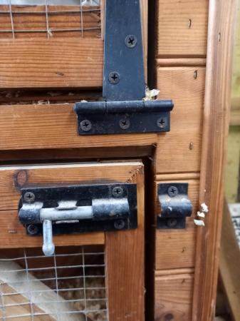 Image 6 of Very Strong Rabbit/Guinea Pig Hutch or Chick brooder