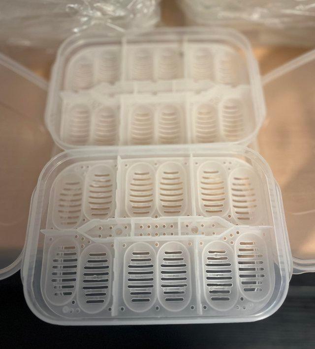 Preview of the first image of Reptile egg incubator tubs, thermometer not icluded.