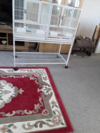 Image 5 of Large Bird Cage with divider