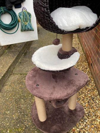 Image 1 of Cat scratching post from pets at home never used