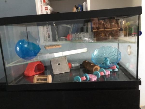 Image 1 of Glass rodent tank with shelves and sliding lid