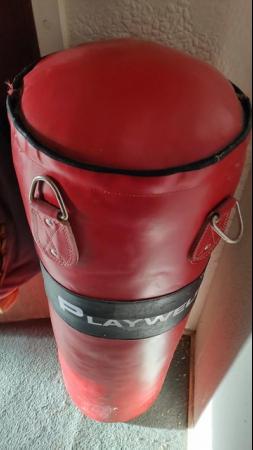 Image 2 of Leather Playwell Punchbag