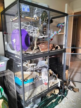 Image 6 of Small animal cage and supplies