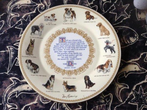 Image 1 of AYNSLEY CHINA COLLECTABLE DOG PLATE