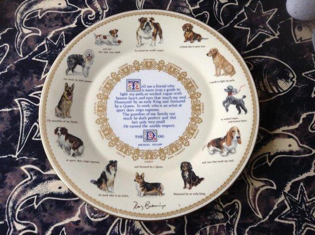 Preview of the first image of AYNSLEY CHINA COLLECTABLE DOG PLATE.