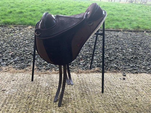 Preview of the first image of Torsion Treeless Saddle.