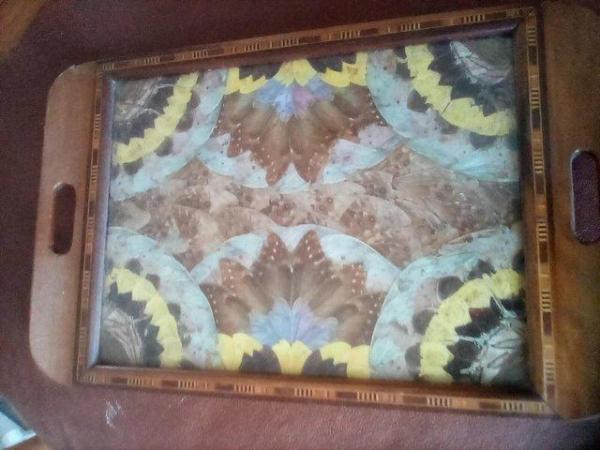 Image 1 of South American Butterfly Wing tray