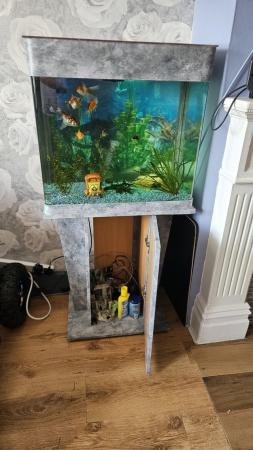 Image 4 of Fish tank plus fish everything included to go