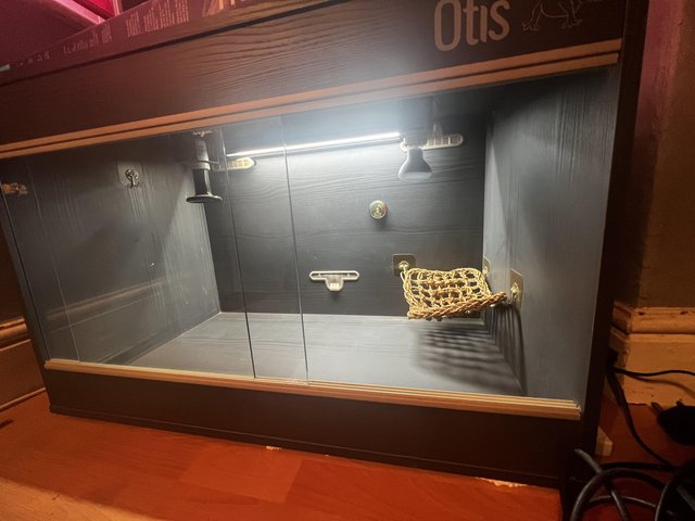 Preview of the first image of 3ft vivarium with accessories.
