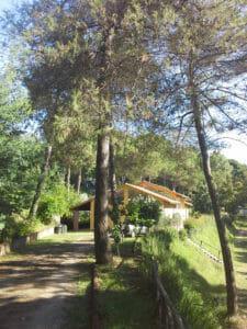 Image 10 of Mobile Homes to rent in Tuscany between Pisa and Florence
