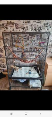 Image 3 of Large bird cage and stand