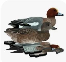 Image 1 of Flambeau Duck Decoys with strings & weights