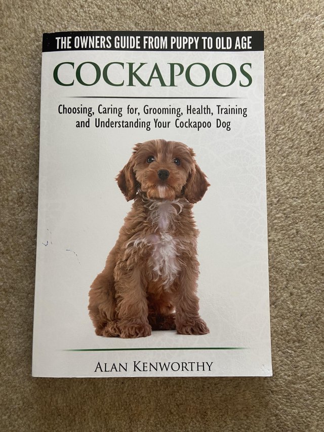 Preview of the first image of Cockapoo puppy to adulthood training.