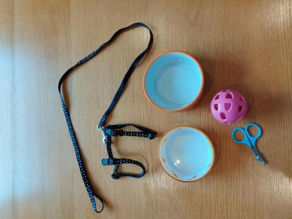 Image 6 of Rabbit food and water bowls, nail clippers, toy balland lead