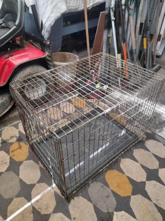 Image 2 of Dog crate small 36h 22w 32L