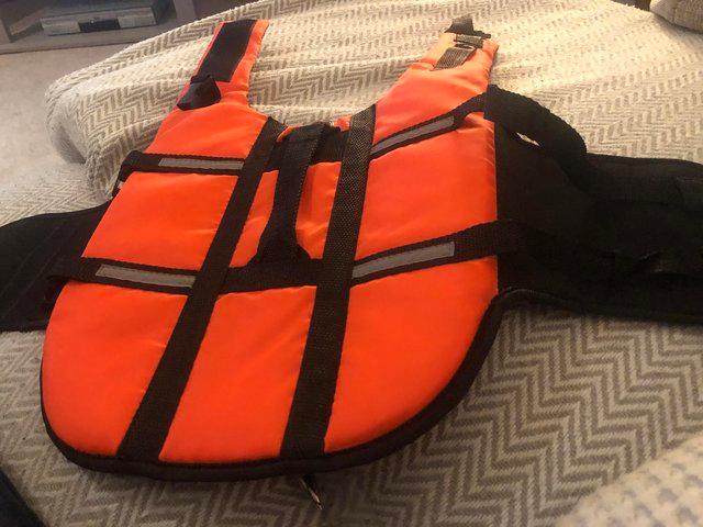Preview of the first image of New Dog’s buoyancy aid/lifejacket.