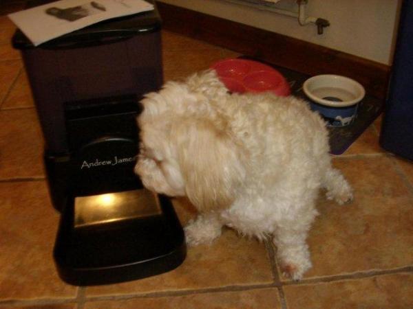 Image 3 of ANDREW JAMES AUTOMATIC DOG/CAT FEEDER