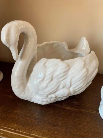 Image 1 of Swan plant pot in immaculate condition