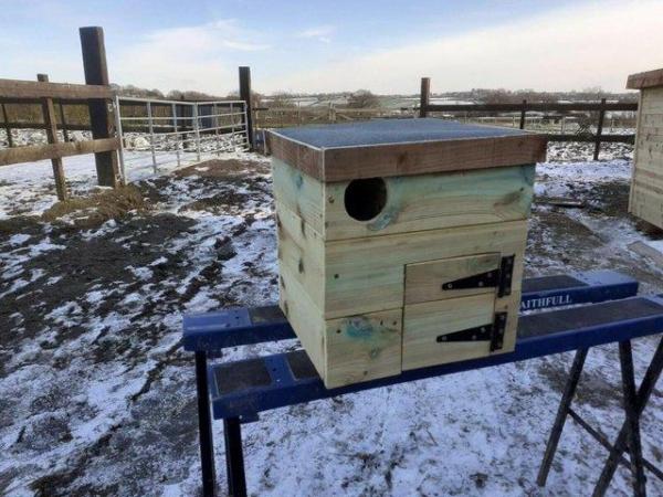 Image 1 of Hand Built Little Owl Nest Box