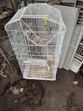 Image 5 of Budgie and parrot cages