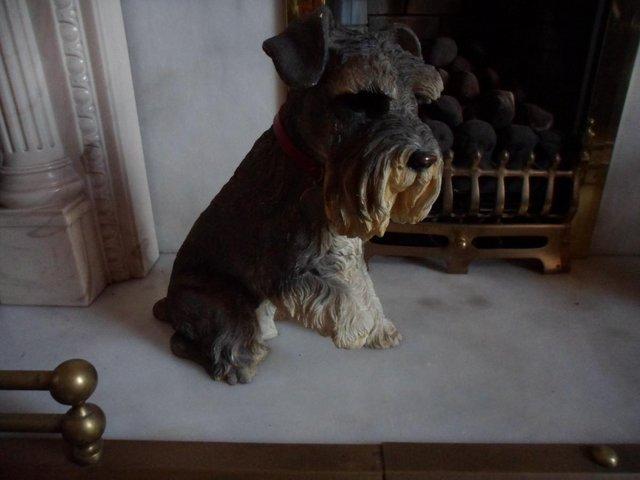 Preview of the first image of LEONARDO COLLECTION SCHNAUZER SITTING DOG.