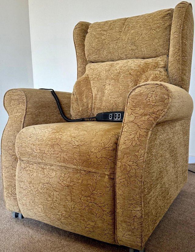 Preview of the first image of PETITE LUXURY ELECTRIC RISER RECLINER BROWN CHAIR ~ DELIVERY.