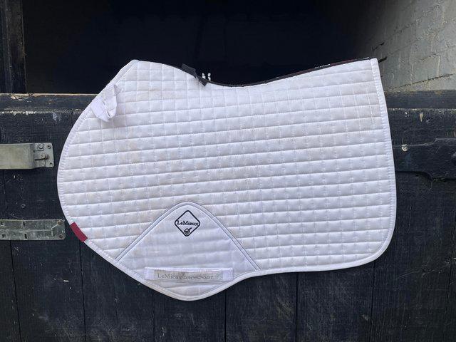 Preview of the first image of Lemieux close contact saddle pad.