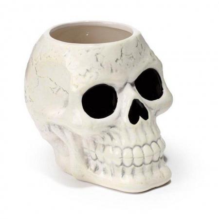 Image 1 of Shaped Ceramic Garden Planter/Plant Pot - Ancient Skull.