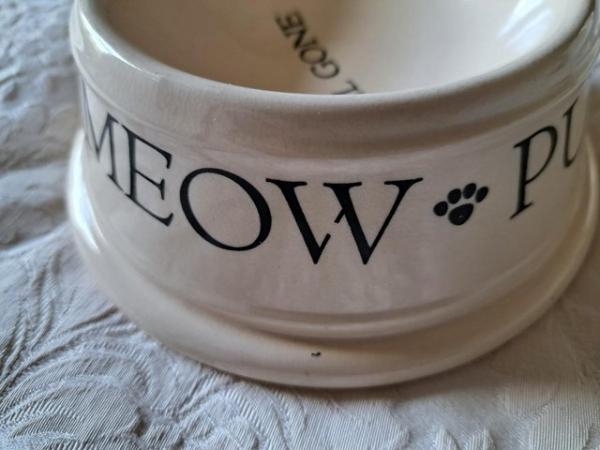 Image 2 of ELEVATED CAT FEEDING BOWLS BY BOSTON WAREHOUSE
