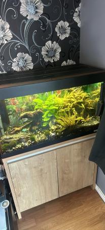 Image 2 of Fish tank and stand and much more
