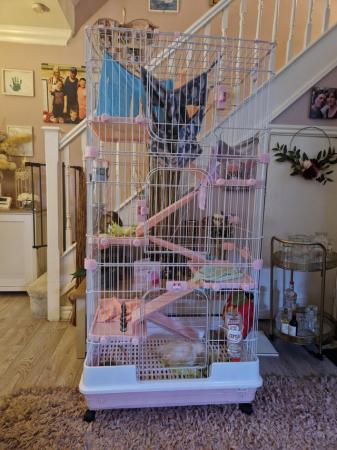Image 4 of Chinchilla/rat small animal cage for sale