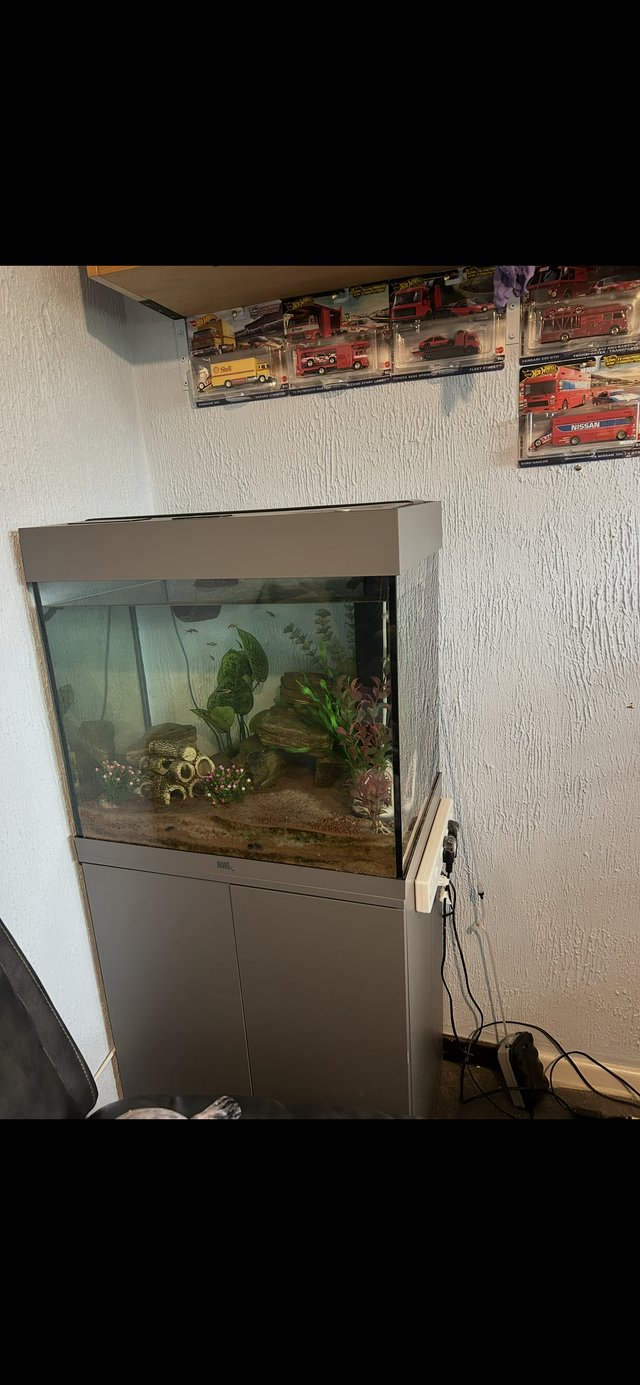 Fish tank and stand comes with decor — Pets & Animals in Maldon
