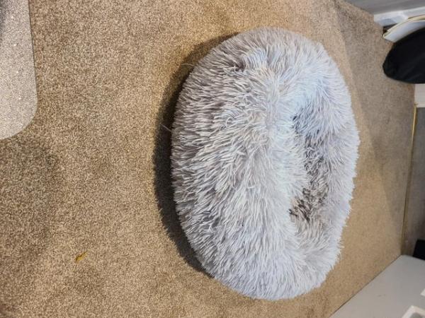 Image 4 of Bella and Toby Calming Dog Bed