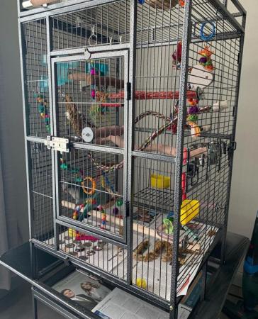 Image 3 of Yaheetech Rolling African grey cage. Less than a month old