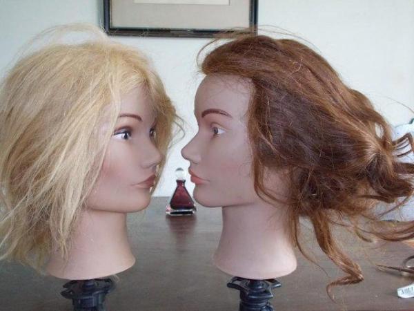 Image 4 of Beauty Shop wig Mannequin display head & clamp £25 each